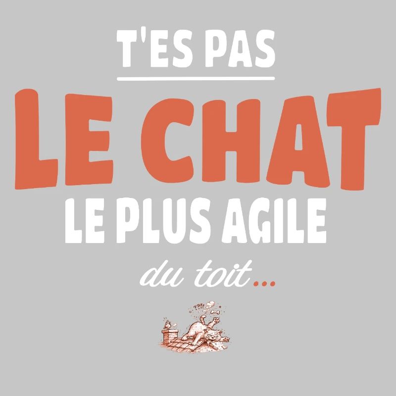 T’es pas le chat le plus agile du toit – Vanne