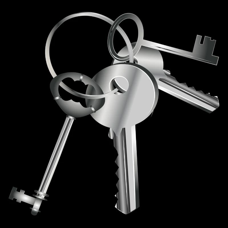 clés argentées sur un porte-clés