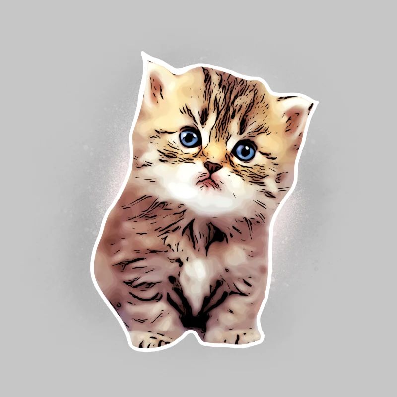 Bébé chat