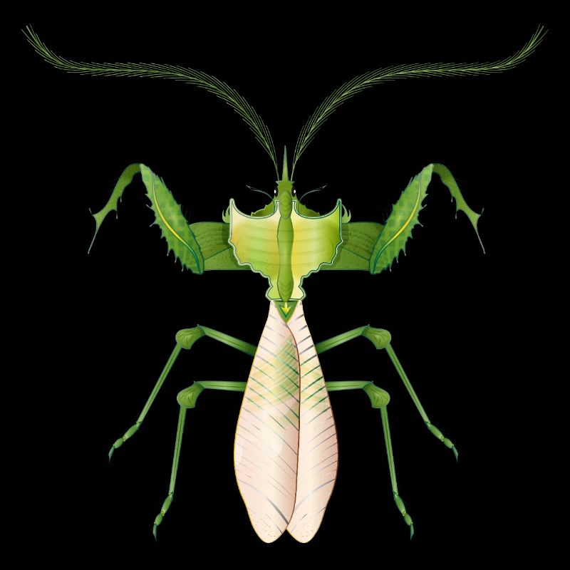 Tropical Insect in Green – Filigree Devil Flower