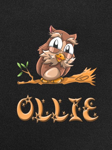 Eule Ollie