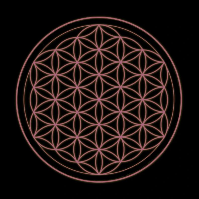 Blume des Lebens Muster Neon