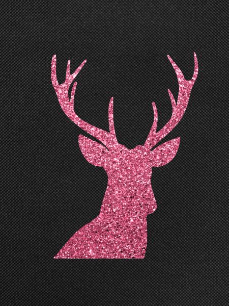 Hirsch