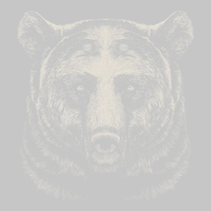 Bär