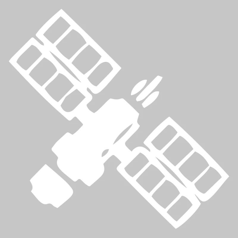 Satellite