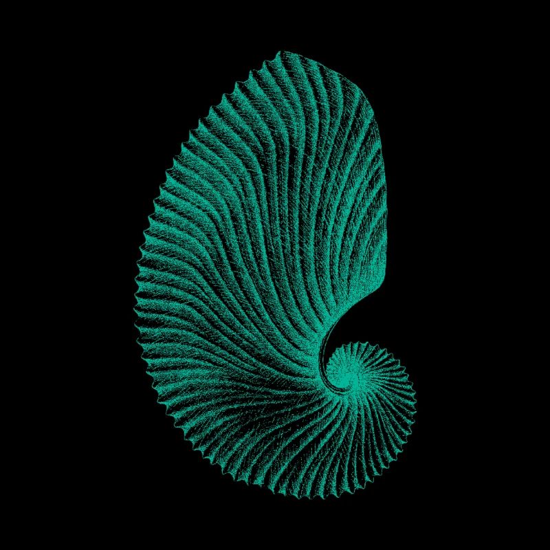 Motif d'Escargot Abstrait Teal