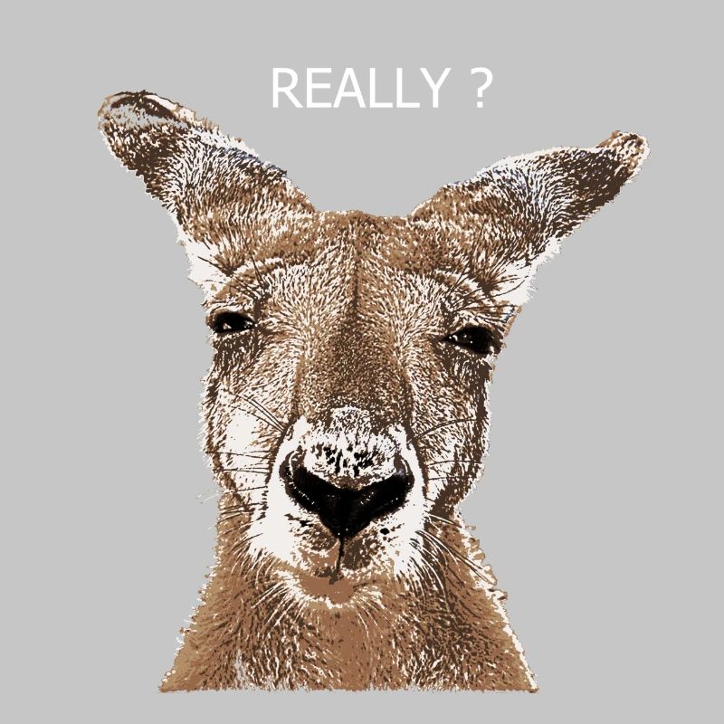 Kangaroo really