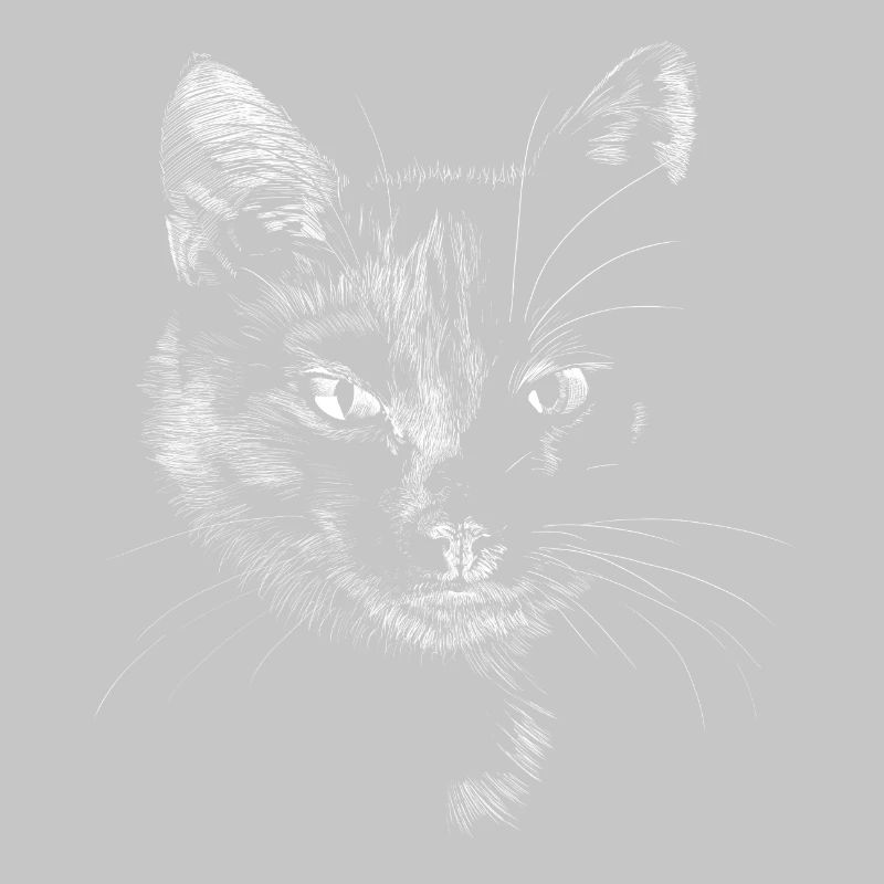 Schwarze Katze
