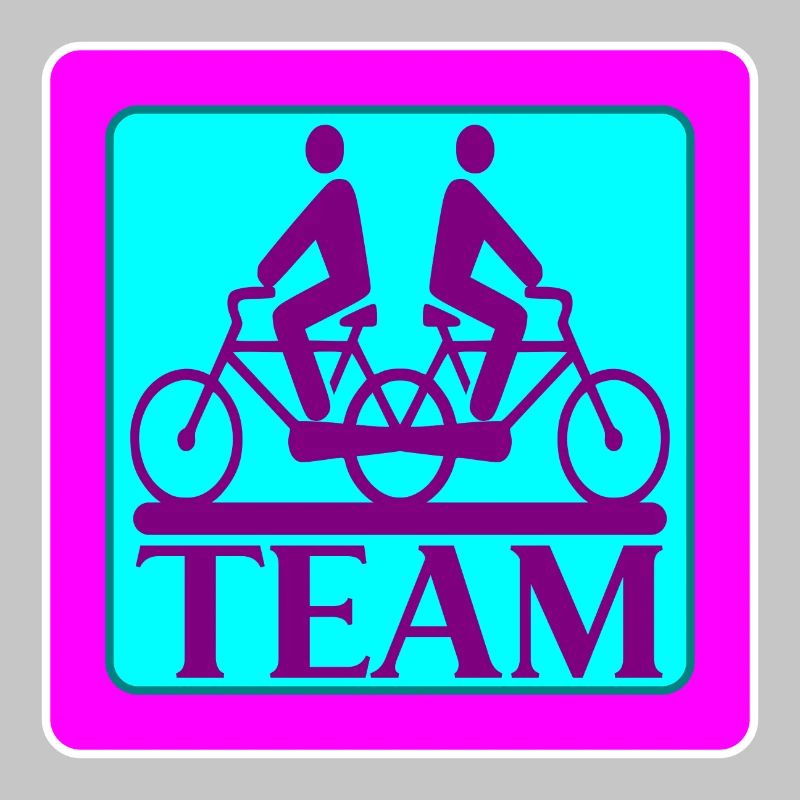 TEAM PROBLEMS - BIKE