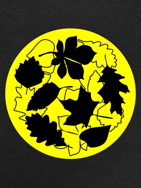 Autumn Circle Leaves