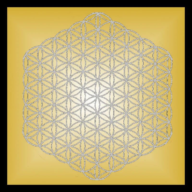 Blume des Lebens silber - 5. Dimension