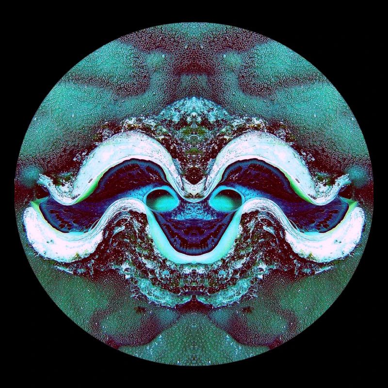 Nature Mandala Smiling Shell