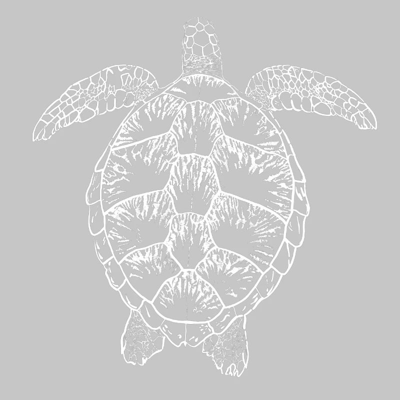 Tortue blanche2