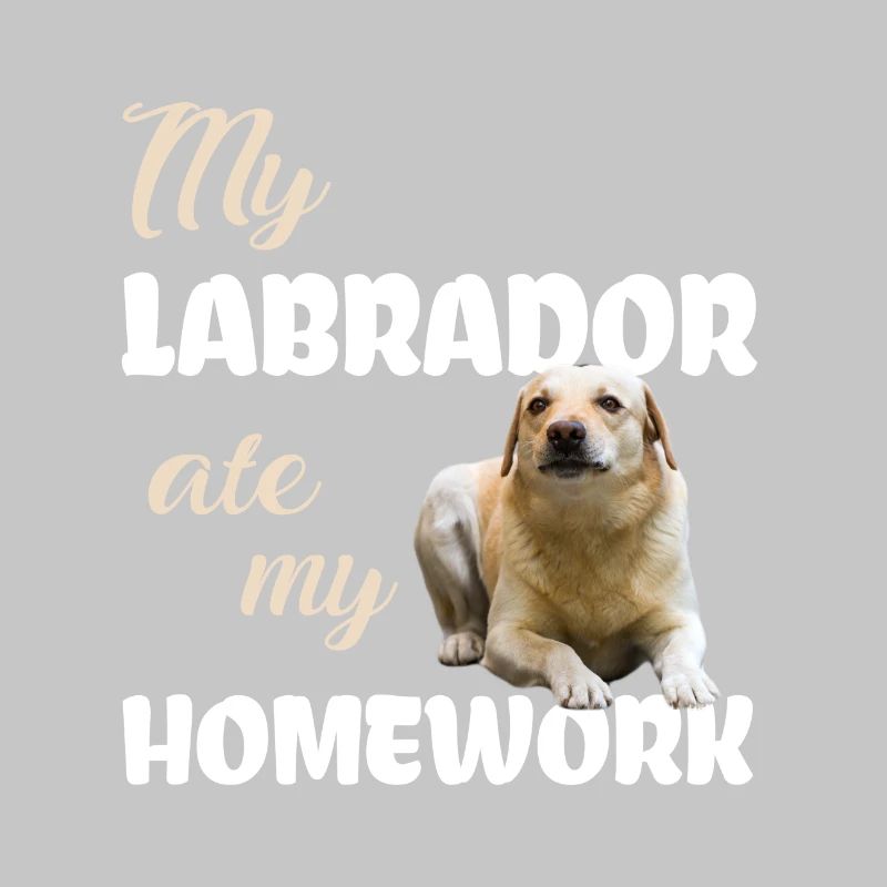 Devoirs du Labrador