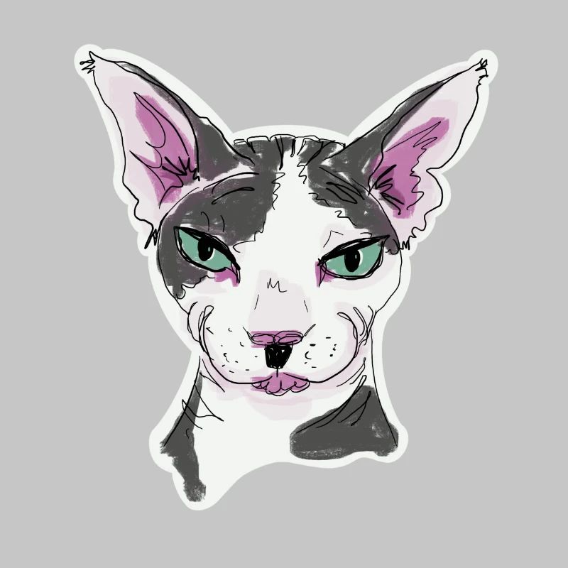 Chat Sphynx Fernando