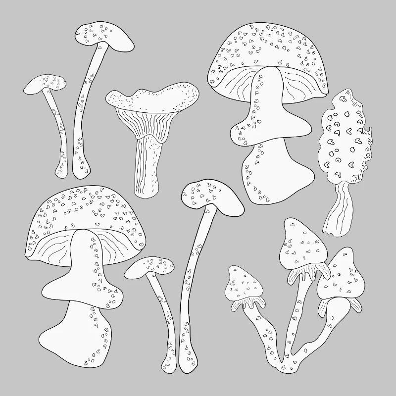 Mushroom picking autumn