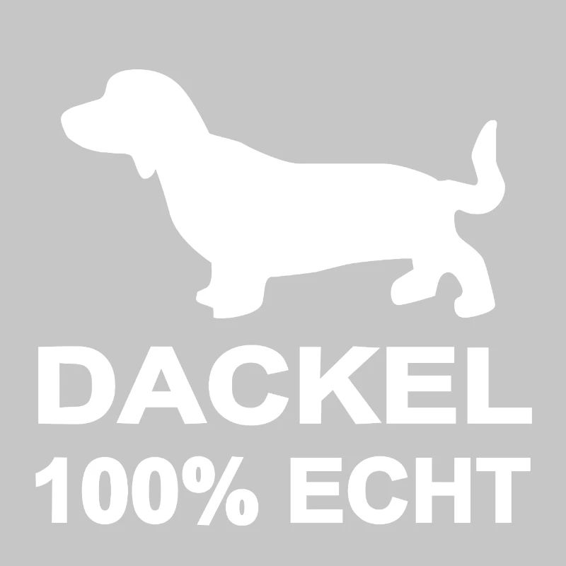 Dachshund