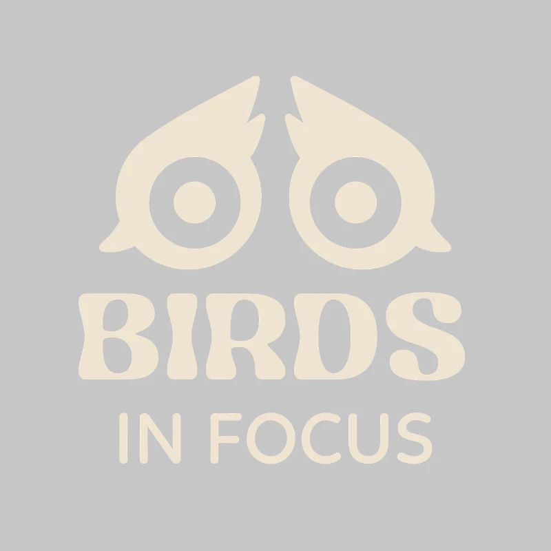 Les oiseaux au point