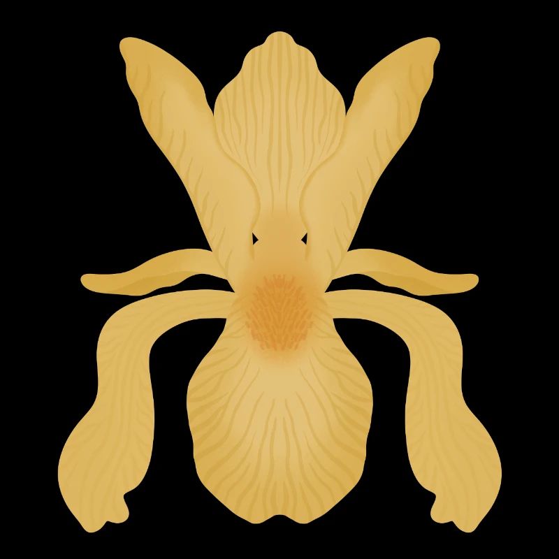 Golden Iris Bloom