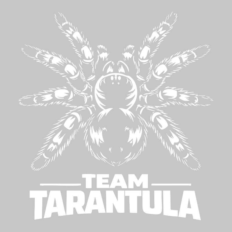 Équipe Tarantula