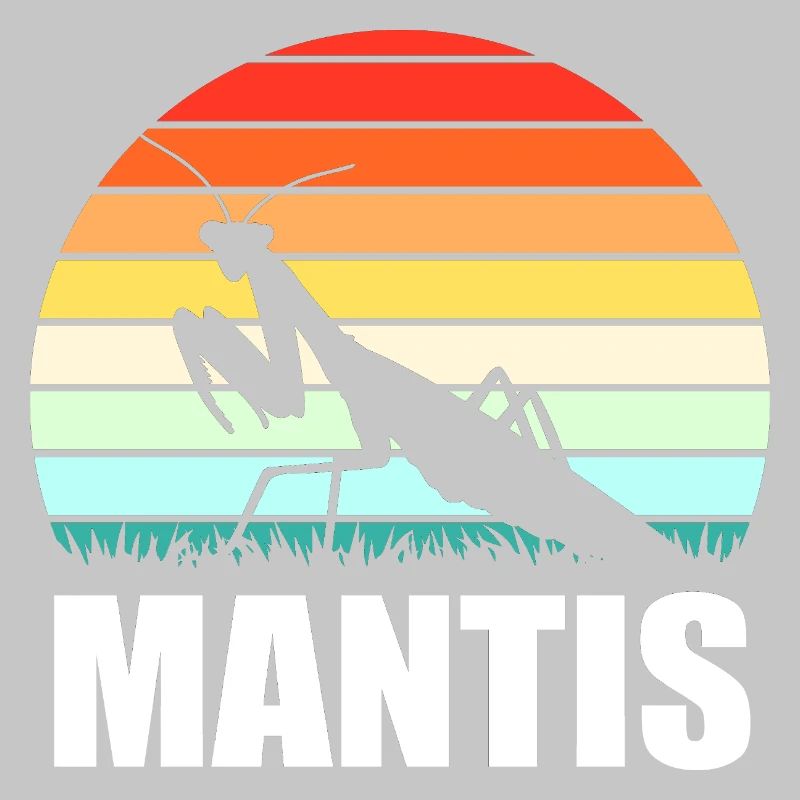 Mantis Gottesanbeter Gottesanbeterin
