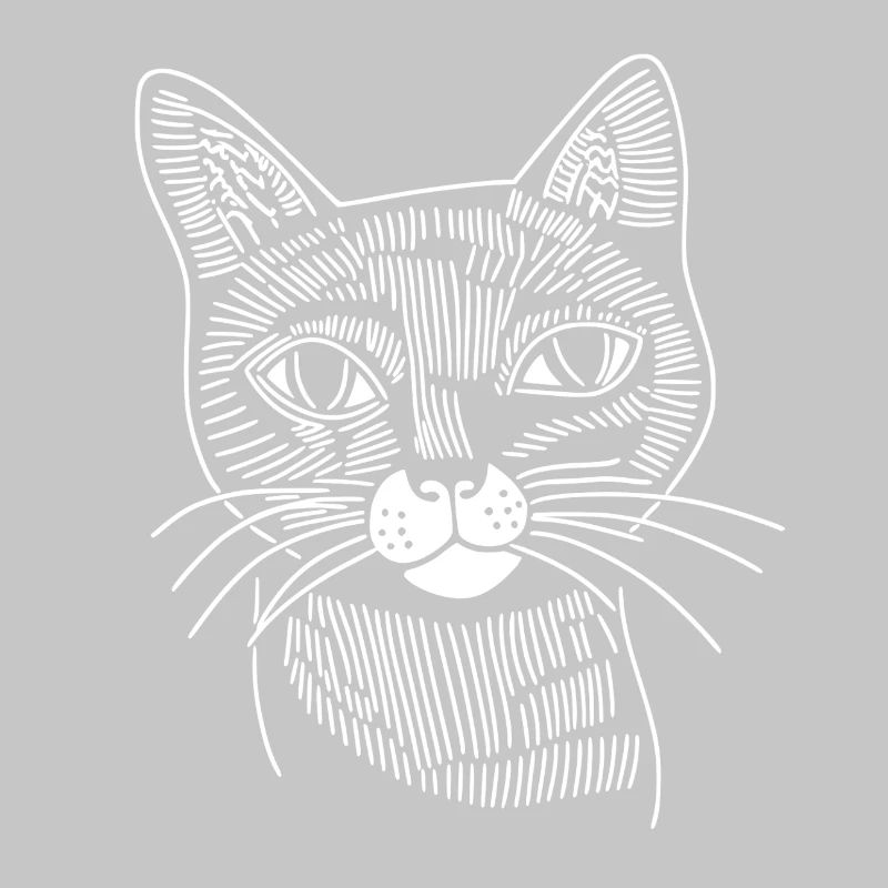 Katze 