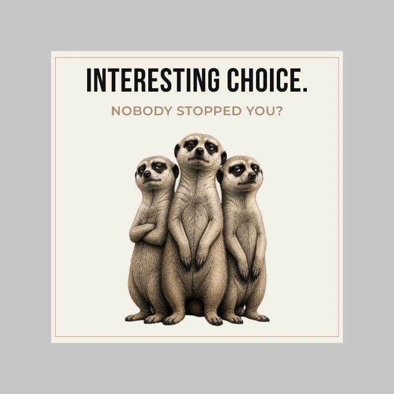 Trio de suricates à choix intéressant