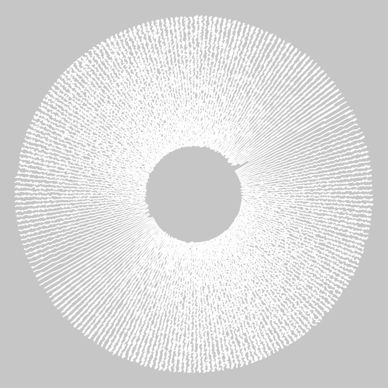 Iris Ringburst Radial Pattern