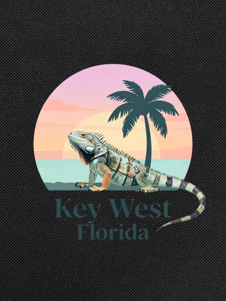 Key West Iguana Sunset