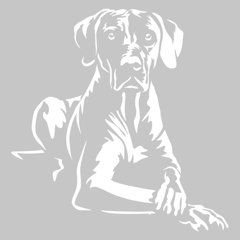 Rhodesian Ridgeback « Édition Noire »