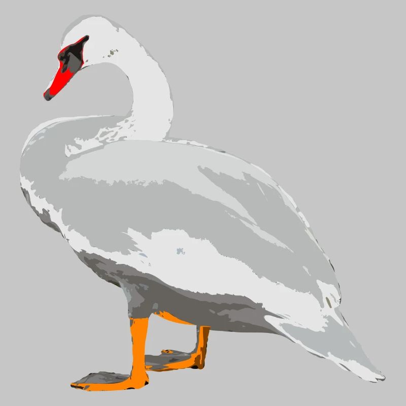 swan