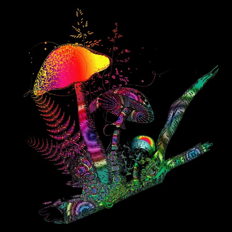 composition colorée champignons forestiers, herbes et branches