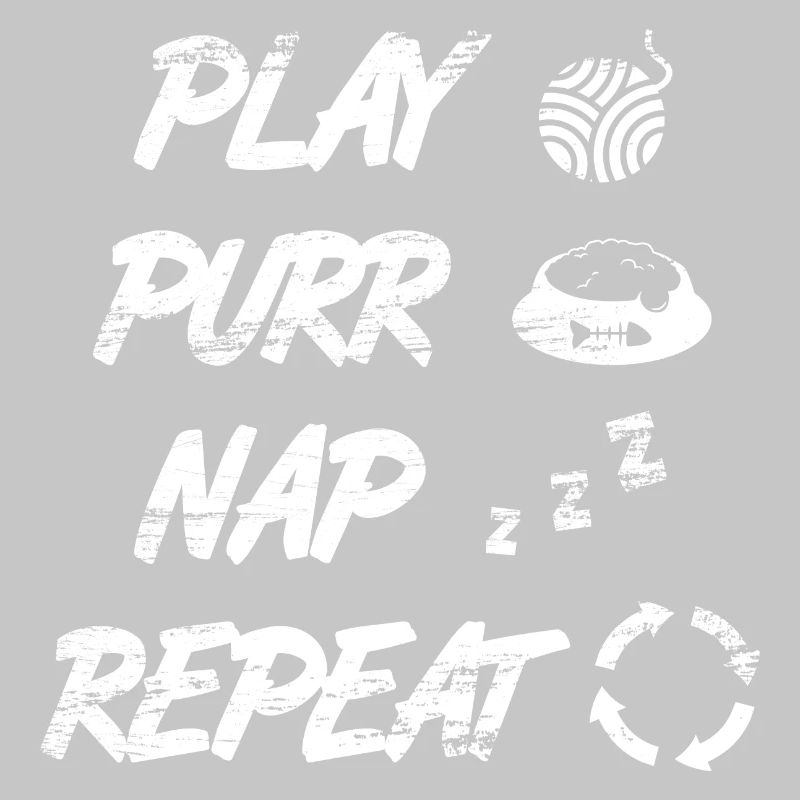 Routine quotidienne du chat