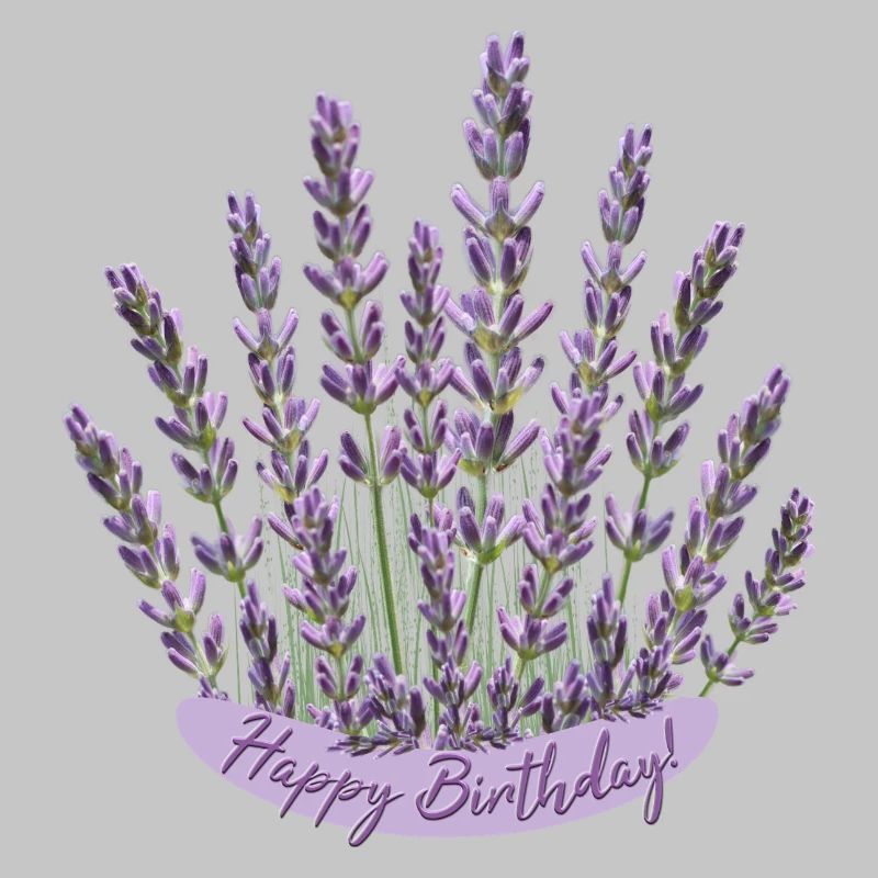 Anniversaire lavande Fleur violette