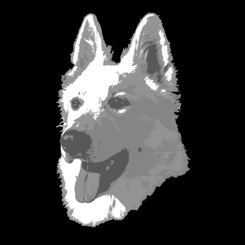 Berger Blanc Suisse