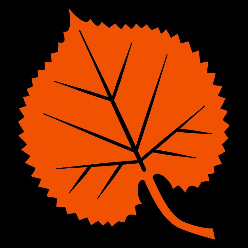 Feuille de tilleul