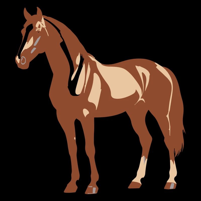 Conception de chevaux