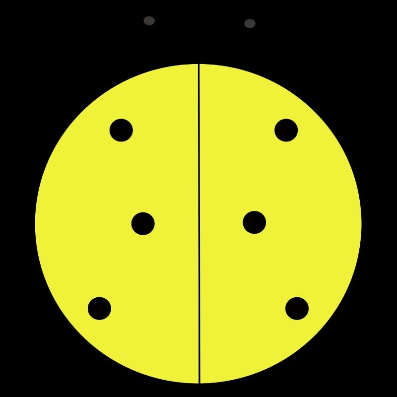 Coccinelle Jaune à Points Noirs