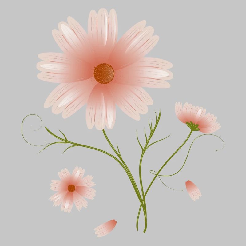 belle illustration de fleurs roses de fleur de cosmea