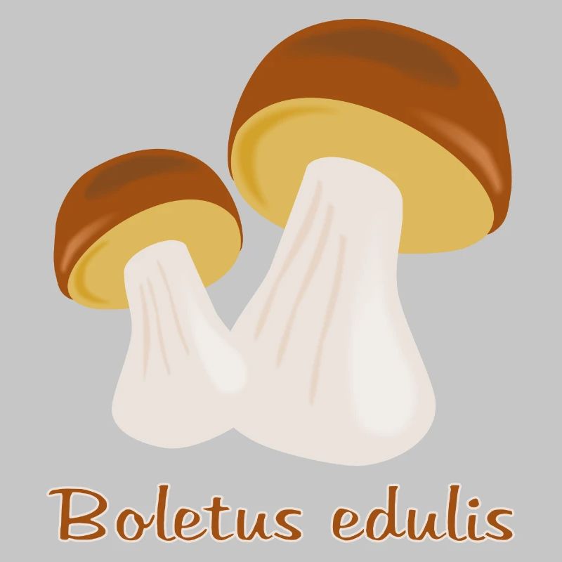 Champignons d’automne