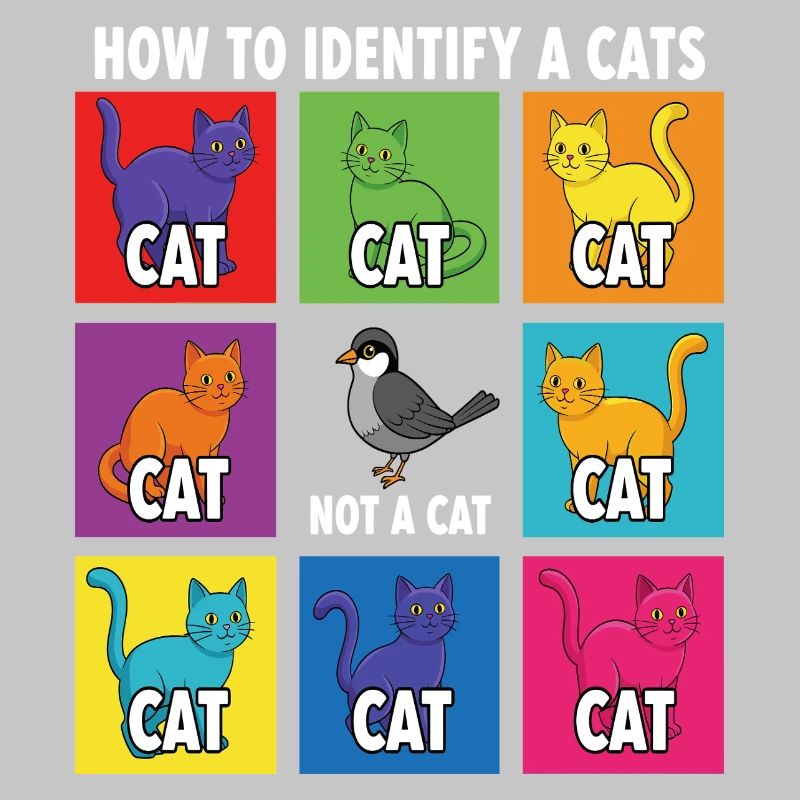 Guide d’identification des chats