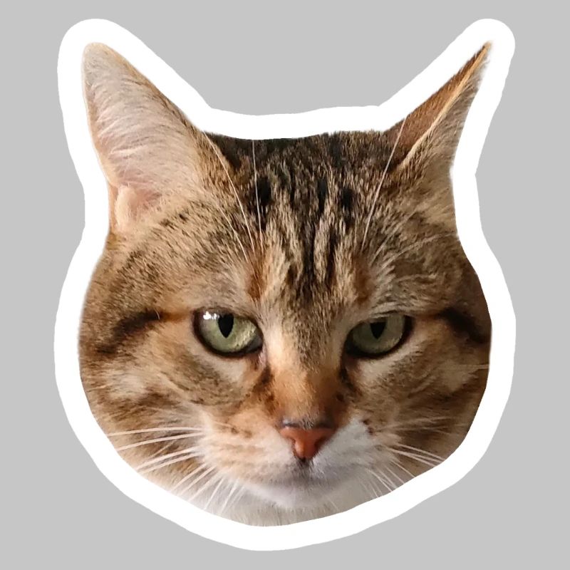 Missty Sad Decal