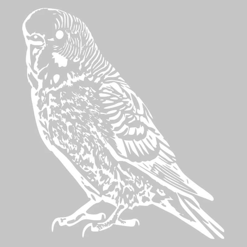 Perruche perrucheuse blanc