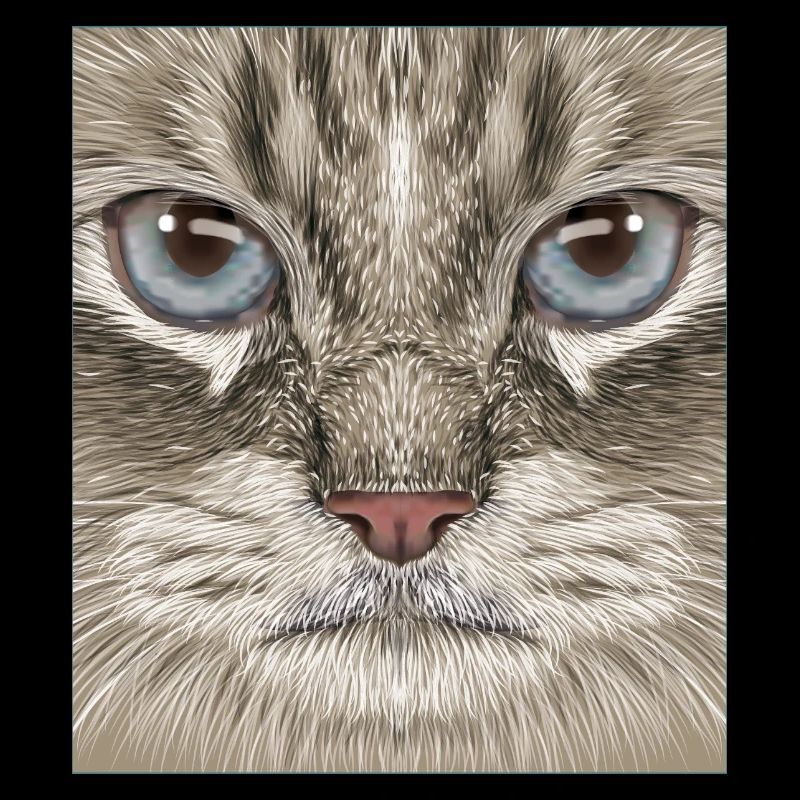 Sibirische Katze