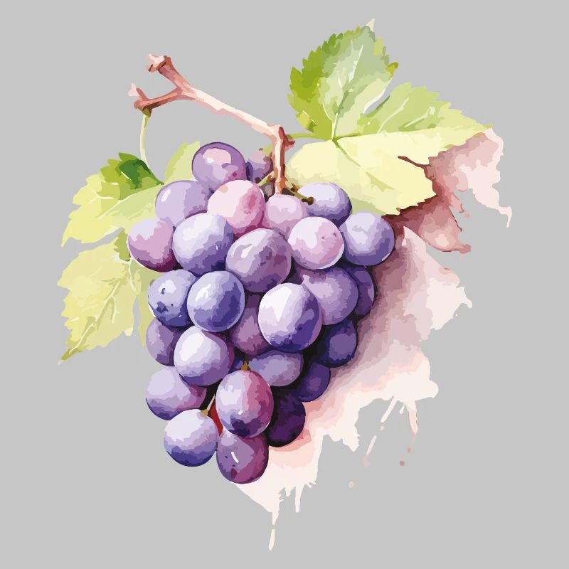 Grappe d’aquarelle de raisins