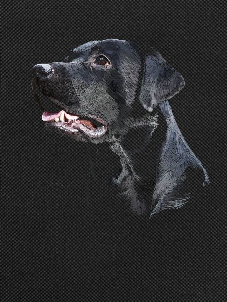 Labrador