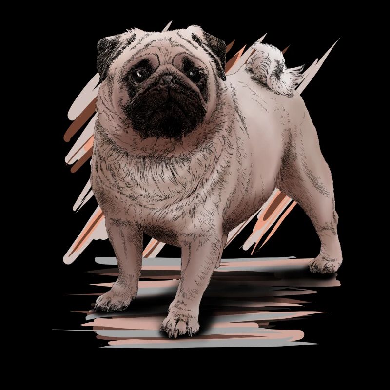 Pug