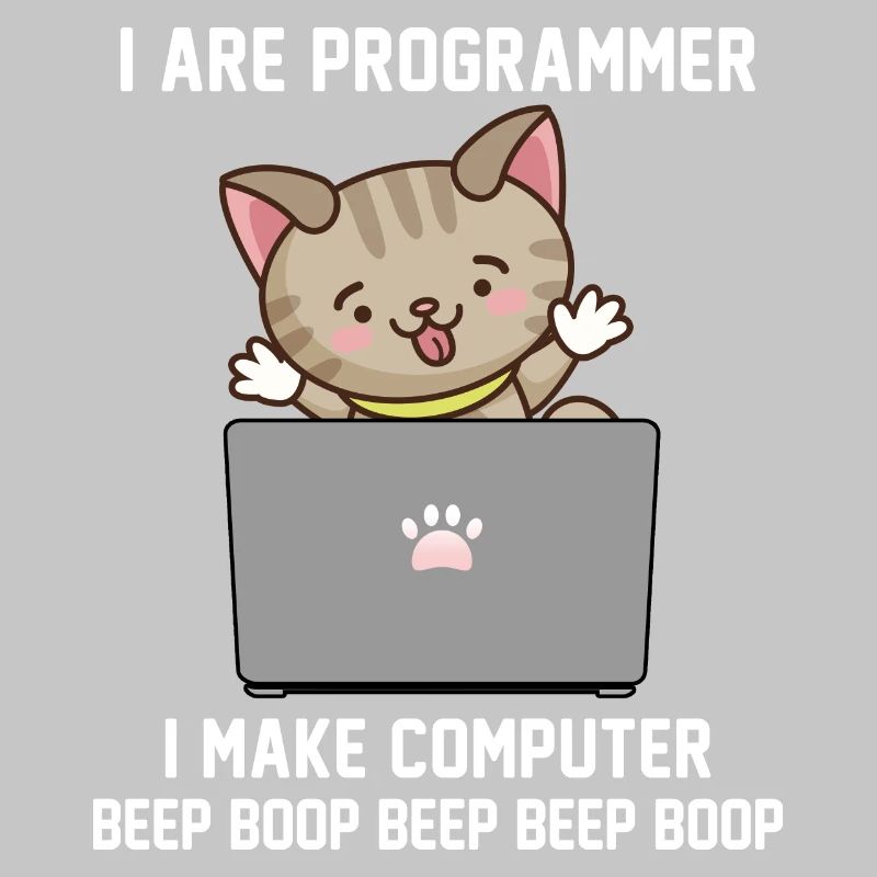 Programmierer