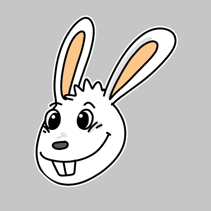 Rabbit Head Animal Head