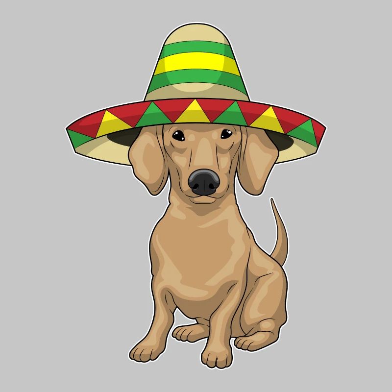 Teckel chapeau mexicain